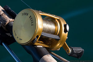 Penn Reel with OrDella Rod