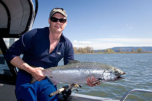 Spring King Salmon from Lower Columbia