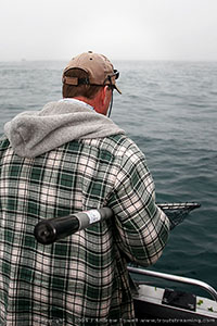 Toby Waiting to Net a Salmon